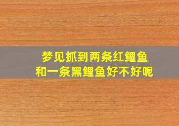 梦见抓到两条红鲤鱼和一条黑鲤鱼好不好呢