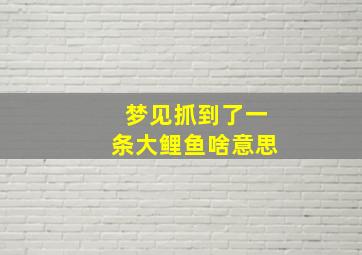 梦见抓到了一条大鲤鱼啥意思