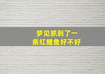 梦见抓到了一条红鲤鱼好不好