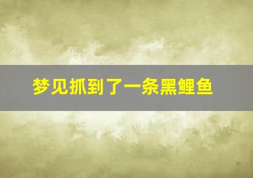 梦见抓到了一条黑鲤鱼