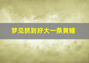 梦见抓到好大一条黄鳝