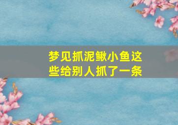 梦见抓泥鳅小鱼这些给别人抓了一条