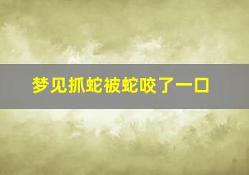 梦见抓蛇被蛇咬了一口