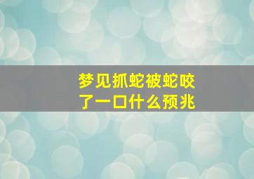 梦见抓蛇被蛇咬了一口什么预兆