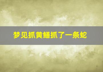 梦见抓黄鳝抓了一条蛇