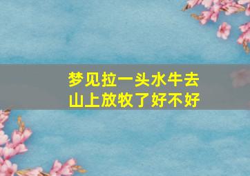 梦见拉一头水牛去山上放牧了好不好