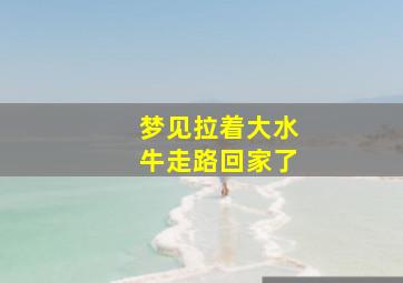 梦见拉着大水牛走路回家了