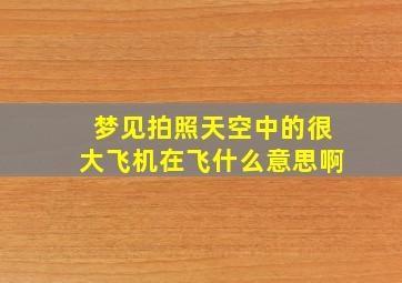 梦见拍照天空中的很大飞机在飞什么意思啊