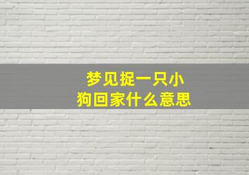 梦见捉一只小狗回家什么意思