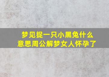 梦见捉一只小黑兔什么意思周公解梦女人怀孕了