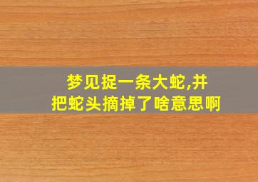 梦见捉一条大蛇,并把蛇头摘掉了啥意思啊