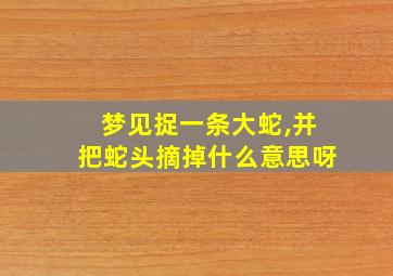 梦见捉一条大蛇,并把蛇头摘掉什么意思呀