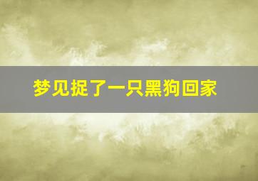 梦见捉了一只黑狗回家