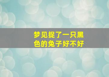 梦见捉了一只黑色的兔子好不好