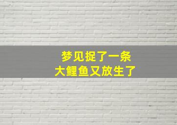 梦见捉了一条大鲤鱼又放生了