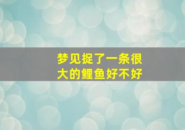 梦见捉了一条很大的鲤鱼好不好