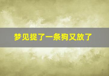 梦见捉了一条狗又放了