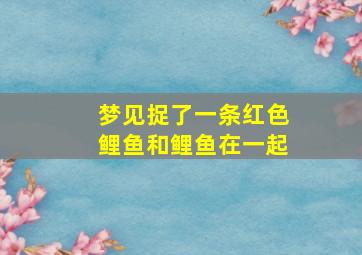 梦见捉了一条红色鲤鱼和鲤鱼在一起