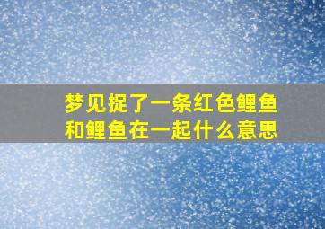 梦见捉了一条红色鲤鱼和鲤鱼在一起什么意思