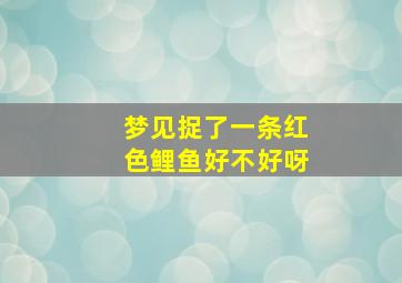 梦见捉了一条红色鲤鱼好不好呀