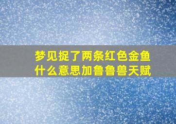 梦见捉了两条红色金鱼什么意思加鲁鲁兽天赋