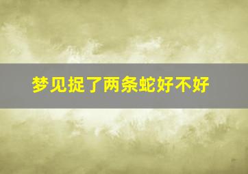 梦见捉了两条蛇好不好