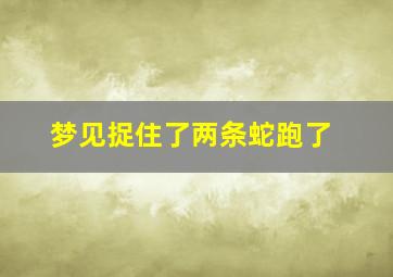 梦见捉住了两条蛇跑了