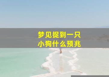 梦见捉到一只小狗什么预兆