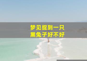 梦见捉到一只黑兔子好不好