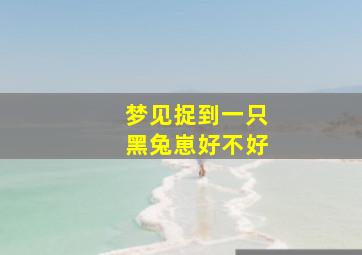 梦见捉到一只黑兔崽好不好