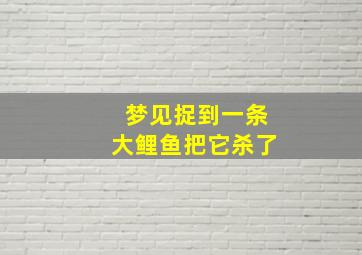 梦见捉到一条大鲤鱼把它杀了