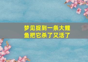 梦见捉到一条大鲤鱼把它杀了又活了