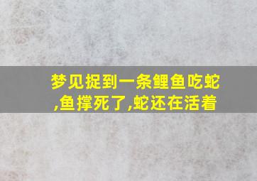 梦见捉到一条鲤鱼吃蛇,鱼撑死了,蛇还在活着