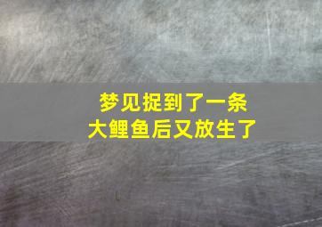 梦见捉到了一条大鲤鱼后又放生了