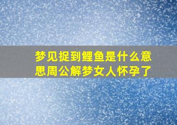 梦见捉到鲤鱼是什么意思周公解梦女人怀孕了