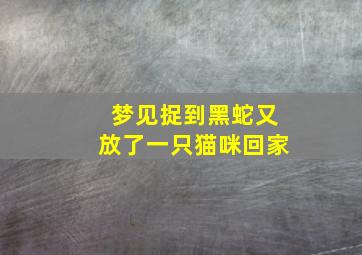 梦见捉到黑蛇又放了一只猫咪回家