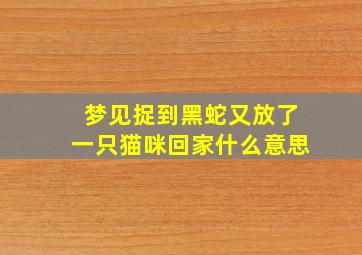 梦见捉到黑蛇又放了一只猫咪回家什么意思