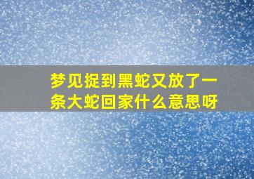 梦见捉到黑蛇又放了一条大蛇回家什么意思呀