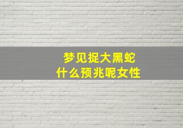 梦见捉大黑蛇什么预兆呢女性