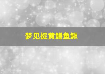 梦见捉黄鳝鱼鳅