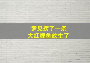 梦见捞了一条大红鲤鱼放生了