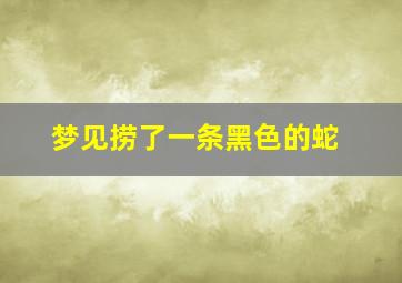 梦见捞了一条黑色的蛇