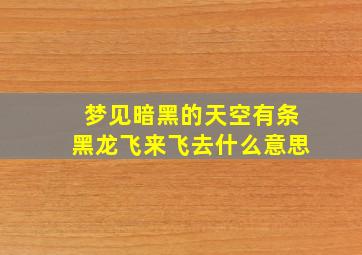 梦见暗黑的天空有条黑龙飞来飞去什么意思