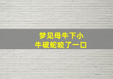 梦见母牛下小牛破蛇咬了一口