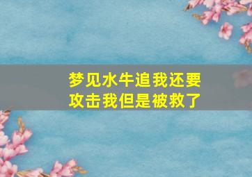 梦见水牛追我还要攻击我但是被救了