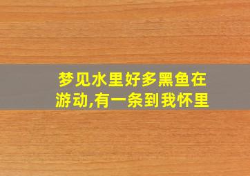 梦见水里好多黑鱼在游动,有一条到我怀里