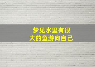 梦见水里有很大的鱼游向自己