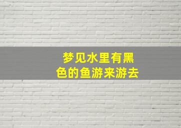 梦见水里有黑色的鱼游来游去