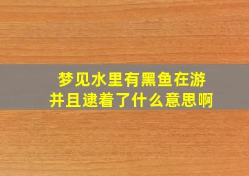 梦见水里有黑鱼在游并且逮着了什么意思啊