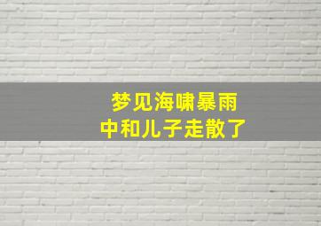 梦见海啸暴雨中和儿子走散了